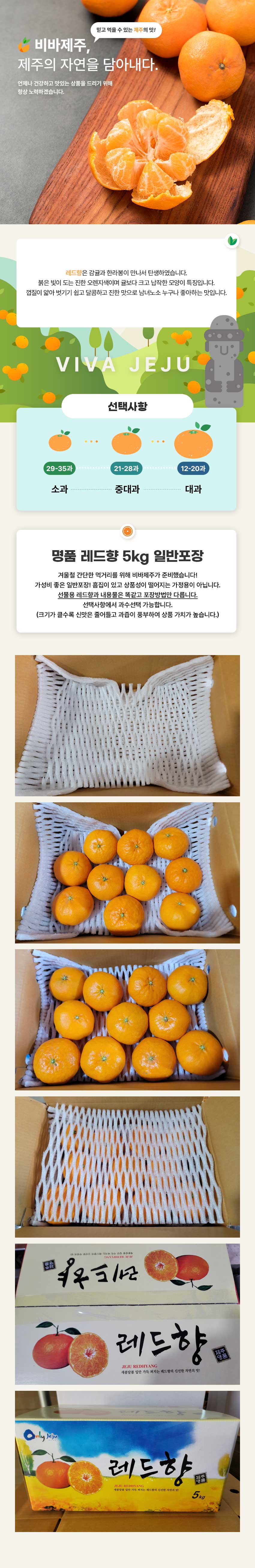 레드향5_1